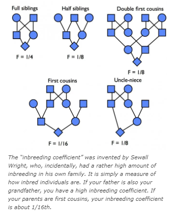 Line Breeding vs. Inbreeding: What’s the Difference?