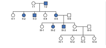 Pedigree’s Nutritional Value