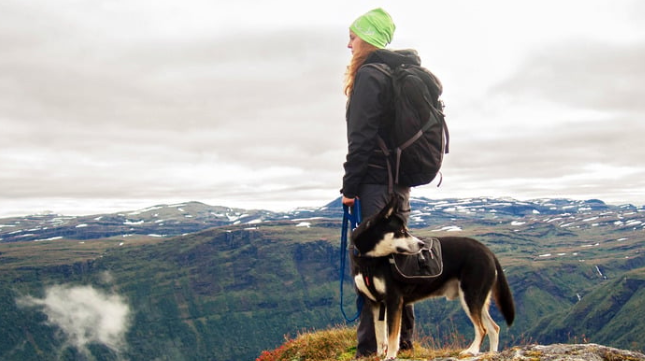 The Appalachian Mountains: Hiking and Bonding