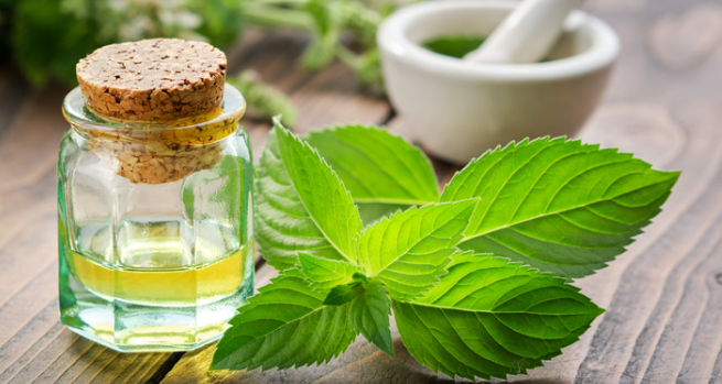 What is Peppermint Oil?